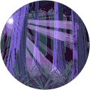 Gracii profile picture